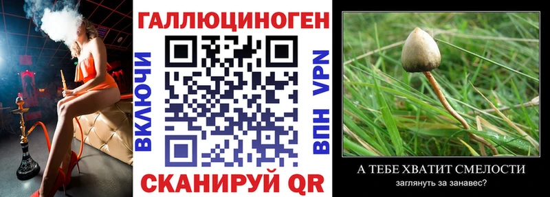 Псилоцибиновые грибы MAGIC MUSHROOMS  Кириллов 